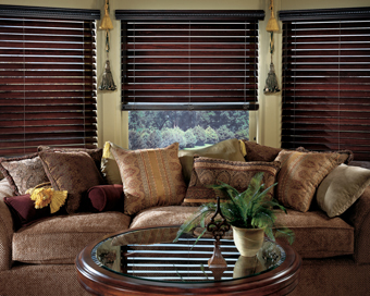 Gator Blinds offers window treatments, blinds, window shades, window coverings, wood blinds, mini blind, vertical blinds, horizontal blinds, custom window coverings, blinds, window treatment dealer, cellular shades, honeycomb shades, duette shades, blind covering dealers. Serving Orlando, Winter Park, Kissimmee, Lake Mary, Longwood, Sanford, Altamonte Springs, Maitland, Oviedo, Winter Springs, Casselberry, Clermont